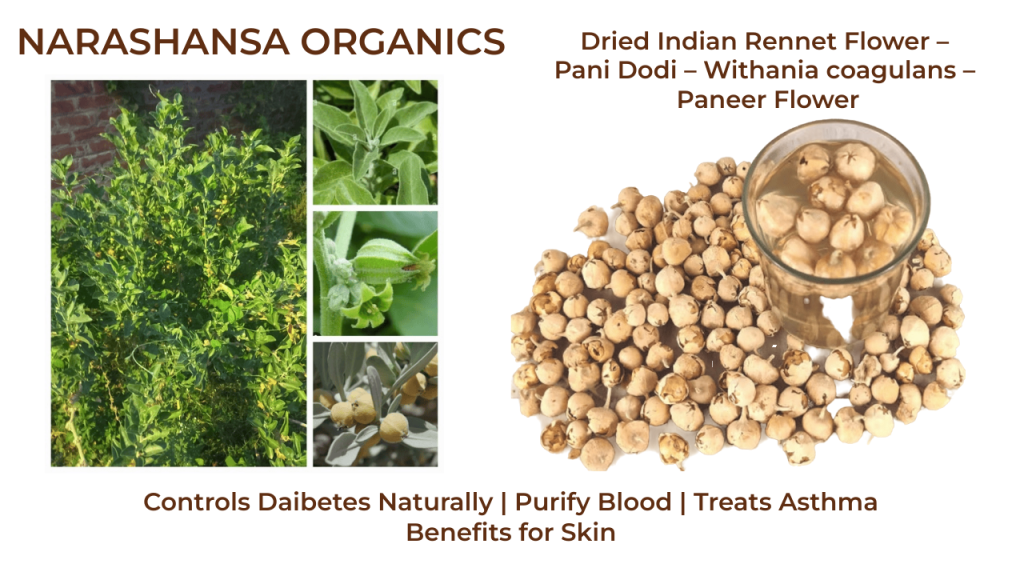 Amazing Benefits of Dried Indian Rennet Flower | for Diabetes Relief